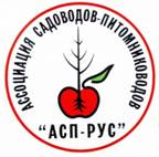 ��������: