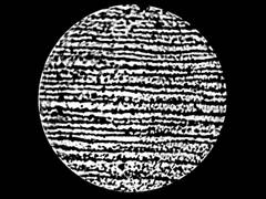 C:\Documents and Settings\Admin.MICROSOF-E56509\������� ����\�����\100OLYMP\P.JPG