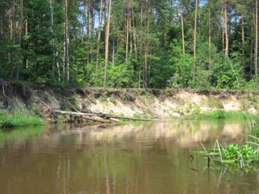D:\Все\фото\Беседь 2011\IMG_0127.JPG