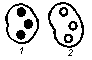 146.gif (529 bytes)
