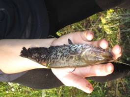 D:\Все\фото\Беседь 2011\IMG_0446.JPG