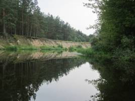D:\���\����\������ 2011\IMG_0559.JPG