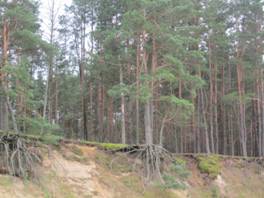 D:\Все\фото\Беседь 2011\IMG_0560.JPG