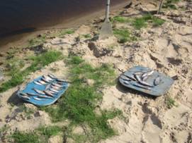 D:\Все\фото\Беседь 2011\IMG_0586.JPG