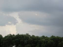 D:\���\����\������ 2011\IMG_0571.JPG