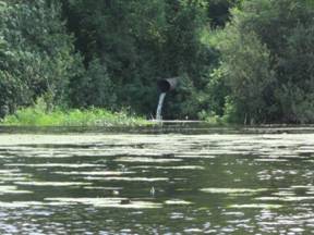 D:\Все\фото\Беседь 2011\IMG_0642.JPG