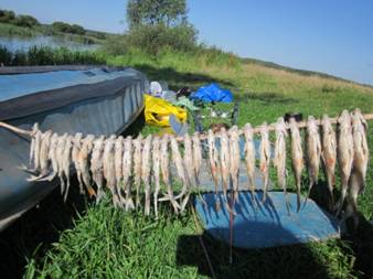 D:\Все\фото\Беседь 2011\IMG_0748.JPG