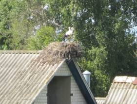D:\Все\фото\Беседь 2011\IMG_0818.JPG