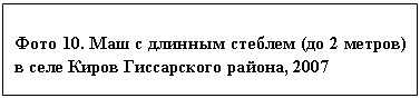 �������: