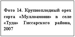 �������: