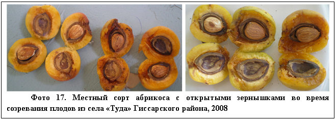 �������: