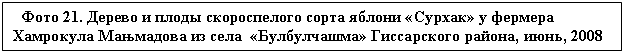 �������: