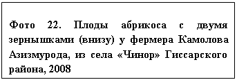 �������: