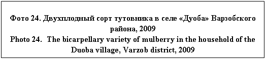 �������: