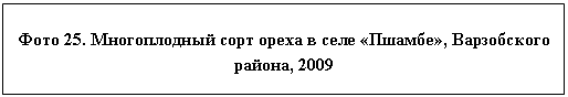 �������: