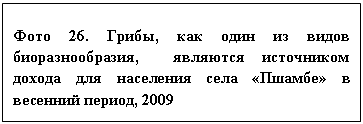 �������: