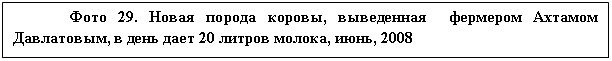 �������: