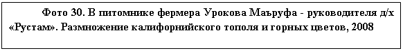�������: