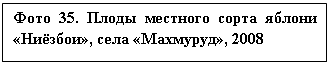 �������: