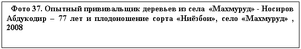 �������: