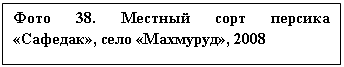 �������: