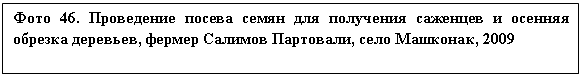 �������: