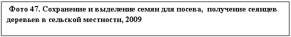�������: