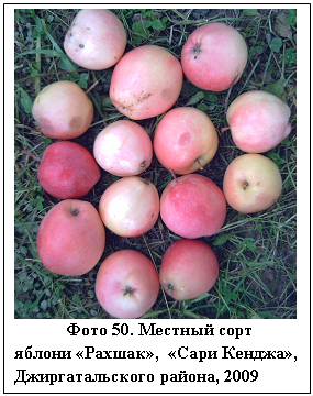 �������: