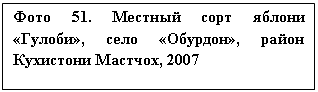 �������: