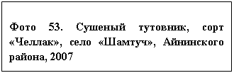 �������: