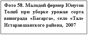 �������: