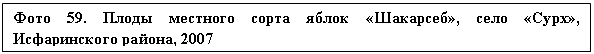 �������: