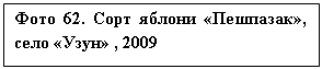 �������: