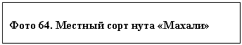 �������: ���� 64. ������� ���� ���� �������



