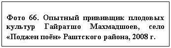 �������:
