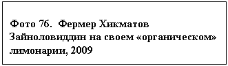 �������: