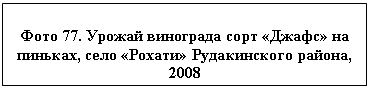 �������: