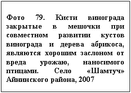 �������: