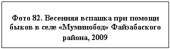 �������: