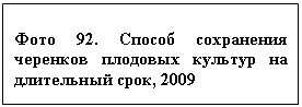 �������: