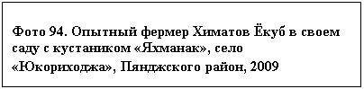 �������: