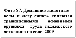 �������: