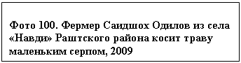 �������: