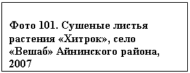 �������: