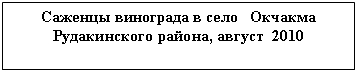 �������: