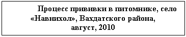 �������: