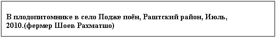 �������: