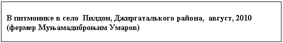 �������: