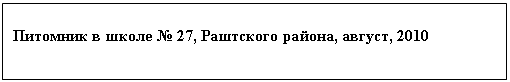 �������: