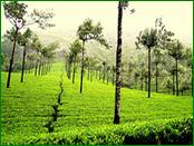 Munnar